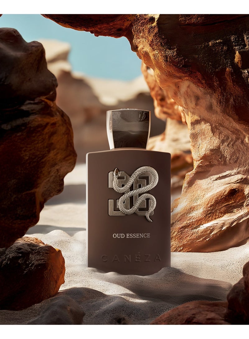 Canéza Oud Essence Eau de Parfum - Warm Fruity Oud with Saffron, Vanilla & Benzoin | Modern Long-Lasting Unisex Fragrance | 100ML - Image 2